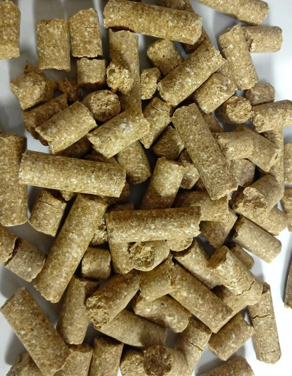 ADILAID Rat & Mice Vegetarian Formula in Pellet for All Life...