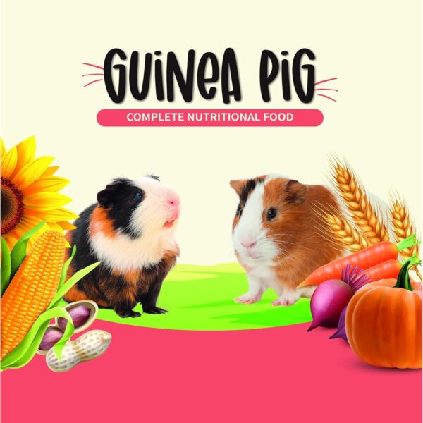 8105LZODc5L._SL1500_.jpg Petslife Guinea Pig Premium Food, 1 kg