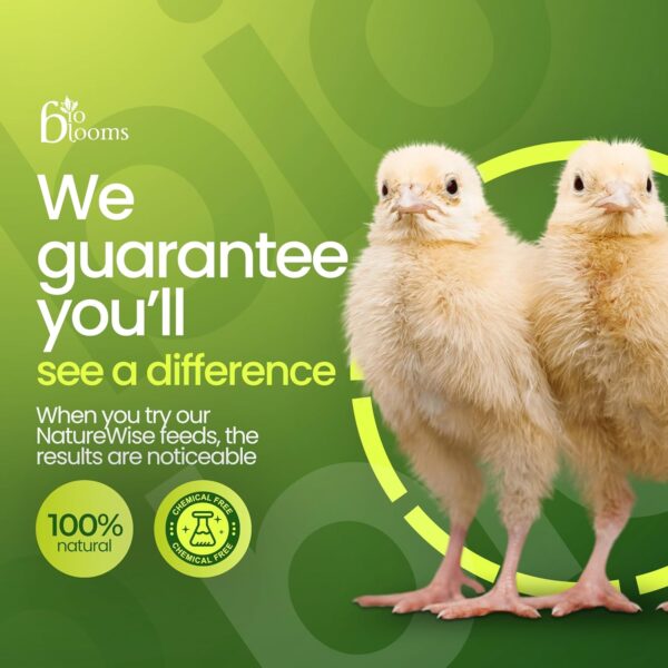 BIO BLOOMS AGRO INDIA PRIVATE LIMITED Poultry Pellet Food Fo...