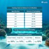 TOPTAIL Ocean Fish Food for Kitten 1-12 Month-1.1kg Dry, Cat...
