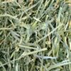 81XcD8msDOL._SL1500_.jpg Jainsons Pet Products Small Pet Alfalfa Hay 400g | High-Fibe...