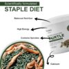 81uGeOeZL._SL1500_.jpg TUNAI 3In1 Adult Turtle Food Stick Spirulina Added with Whol...