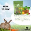 81xurjY8mCL._SL1500_.jpg Premium Rabbit Food-High Fiber Blend With Alfalfa, & Nutriti...